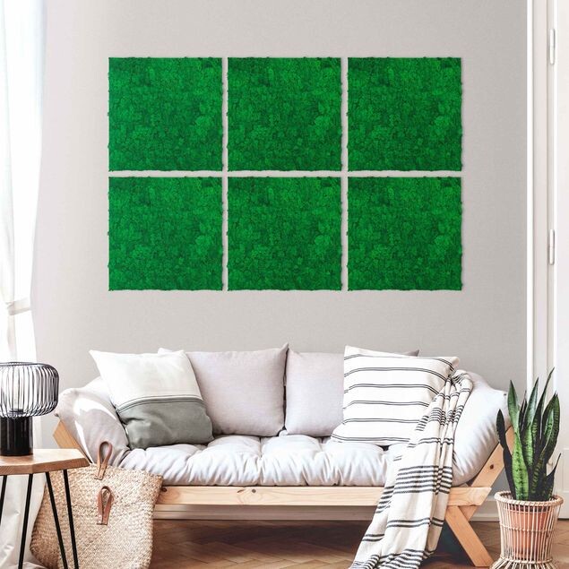 Grüne Wand Pflanzen – Mooswand fichtengrün